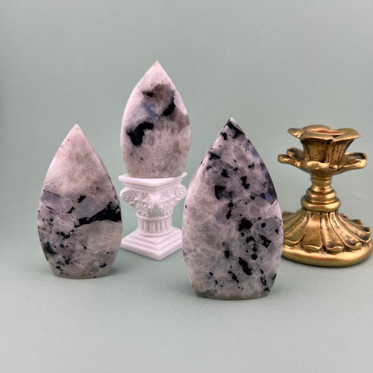 Rainbow Moonstone Freeforms