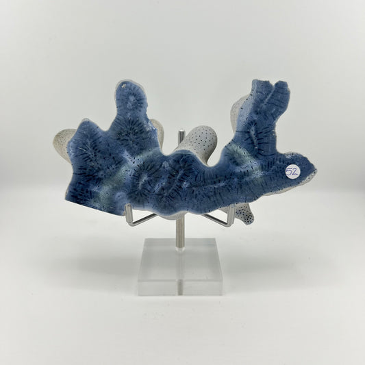 Blue Coral Slabs