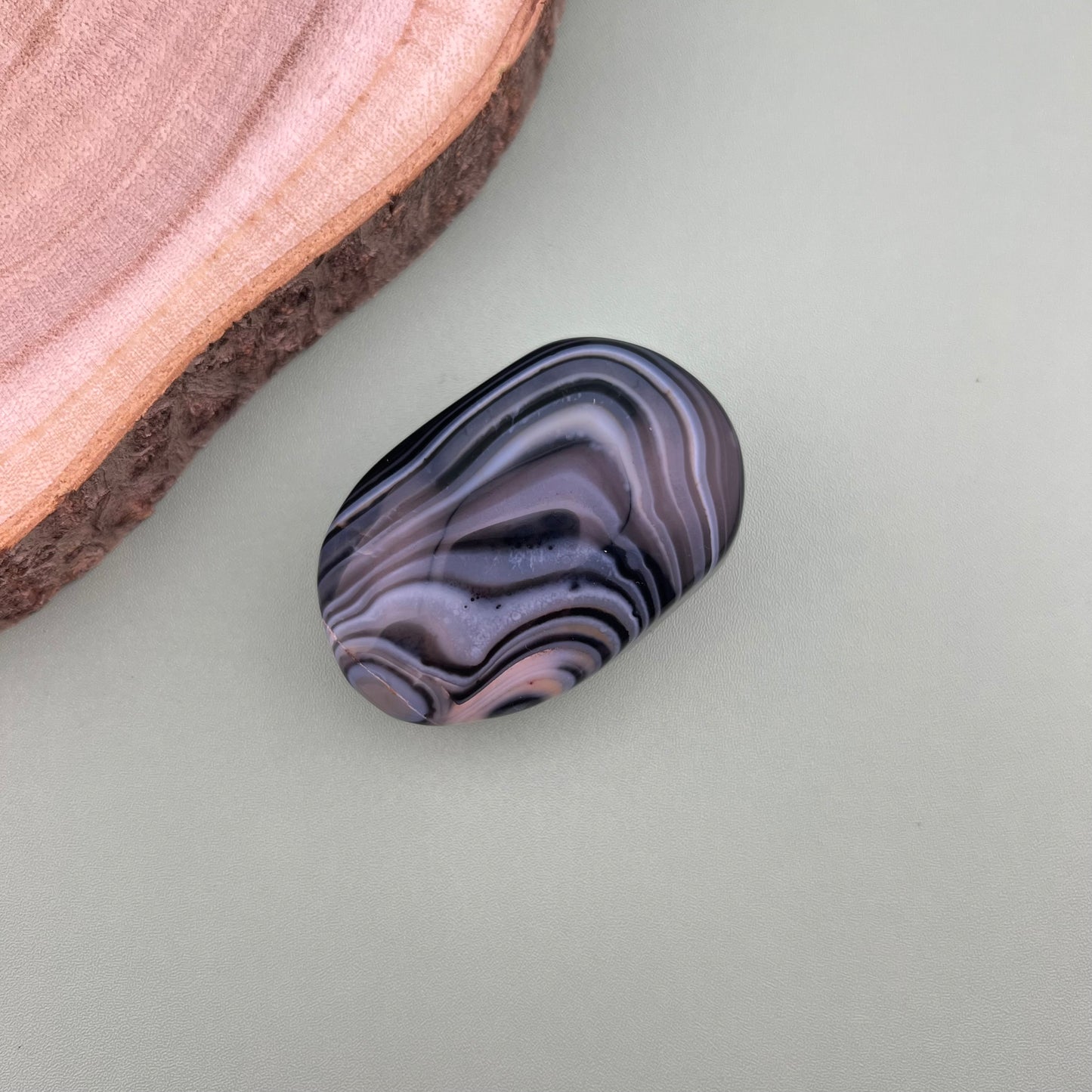 Black and White Agate Palm