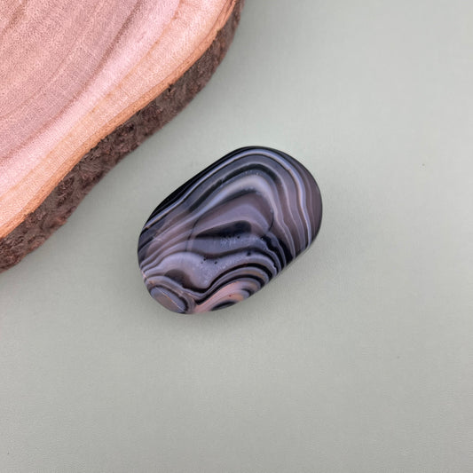 Black and White Agate Palm