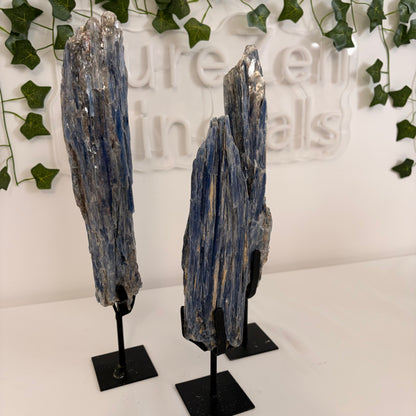 Blue Kyanite Statement Pieces