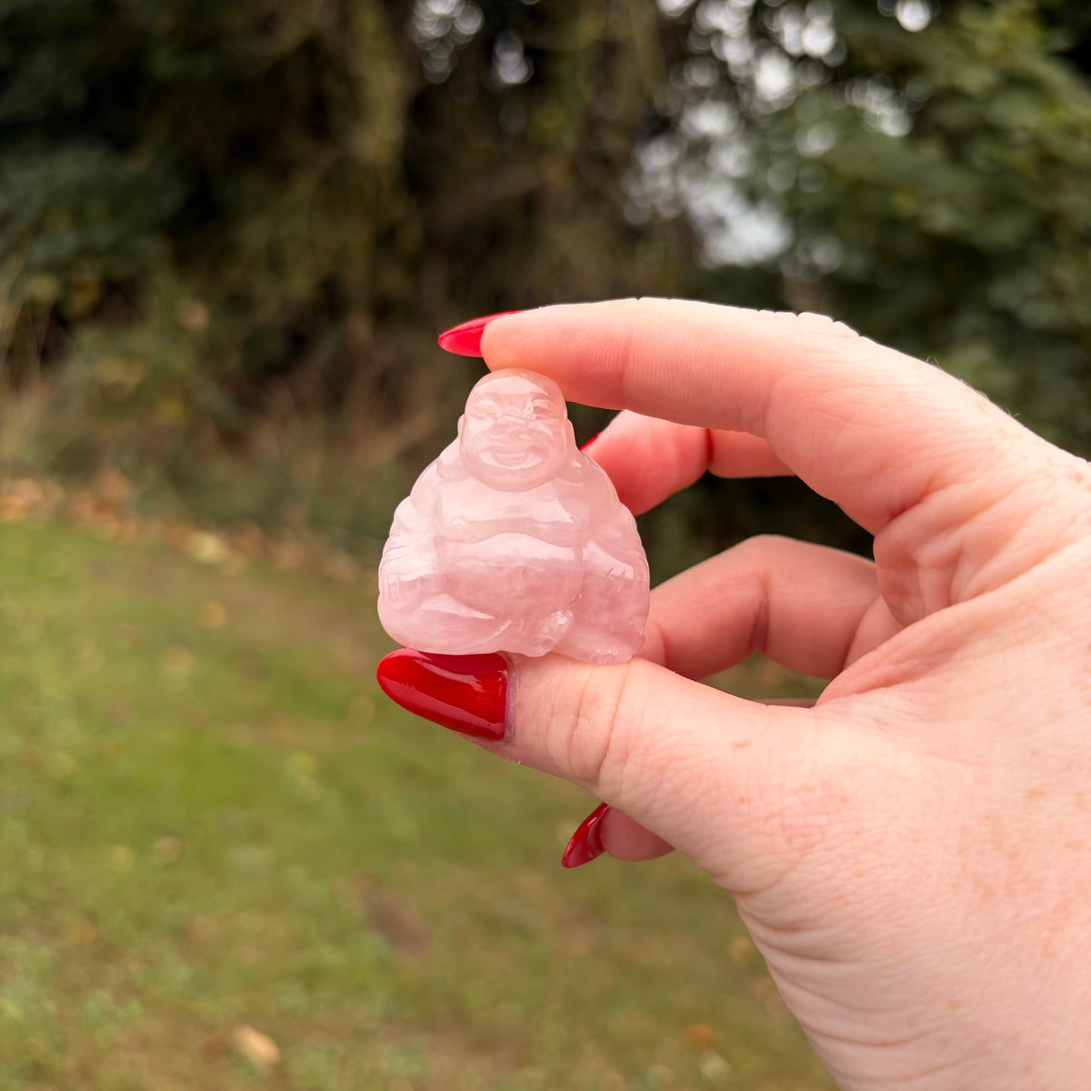 Laughing Buddha Crystal Carvings – Choose Your Own