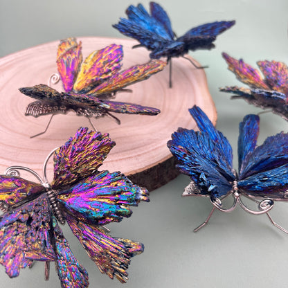 Aura Kyanite Butterflies from PureZen Minerals, view 1