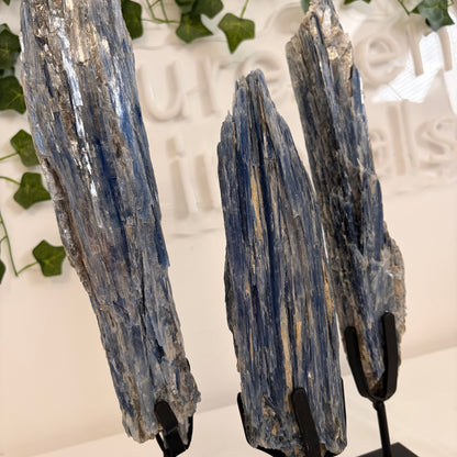 Blue Kyanite Statement Pieces