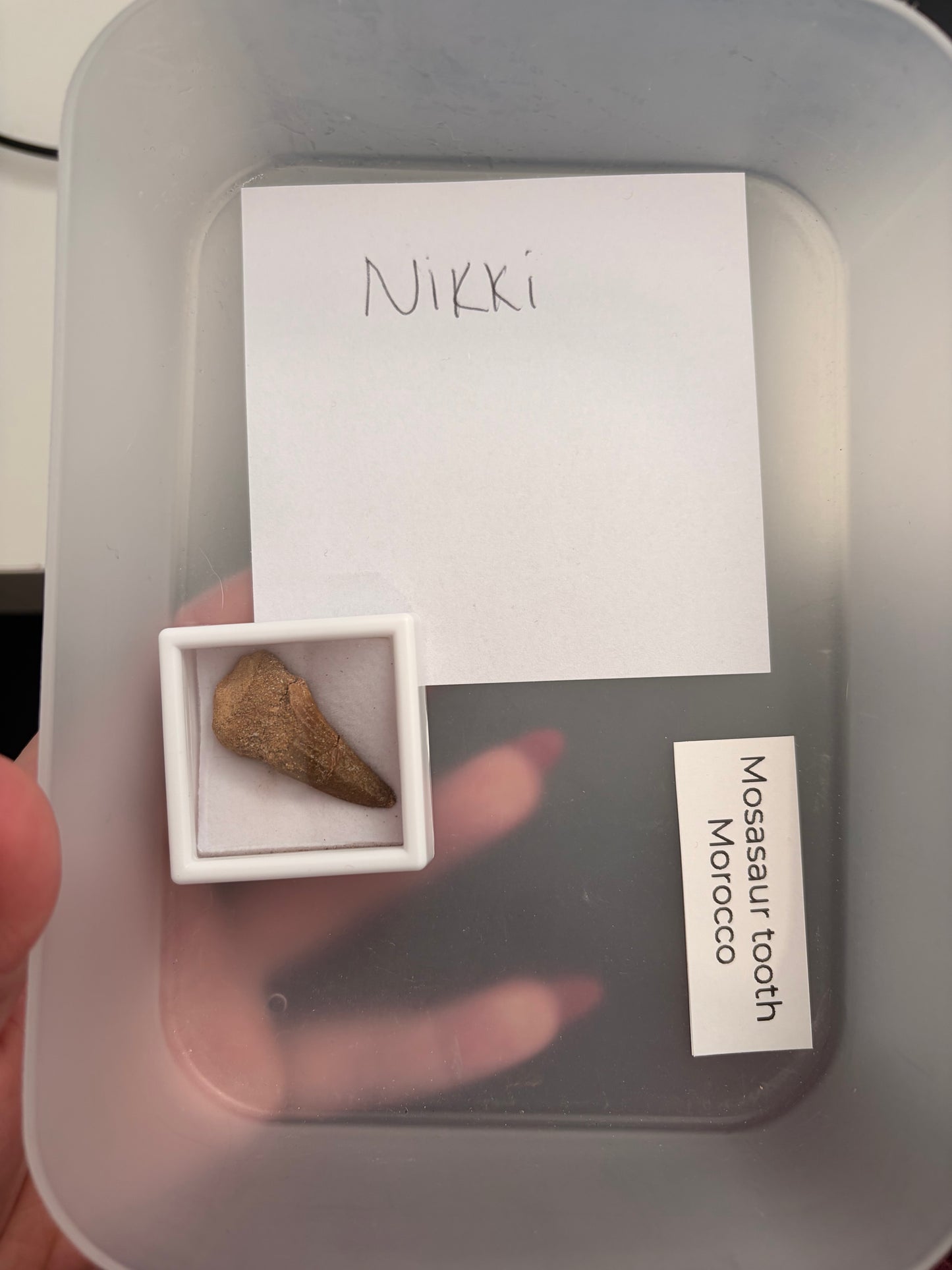 Nikki - Live Claim