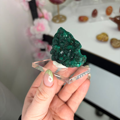 Dioptase Specimen from PureZen Minerals, view 3