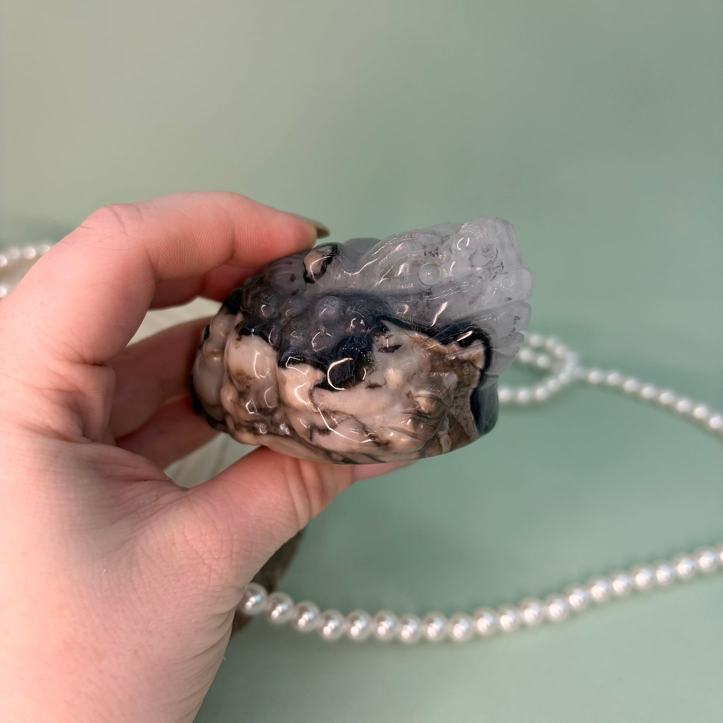 Volcano Agate Money Toad A