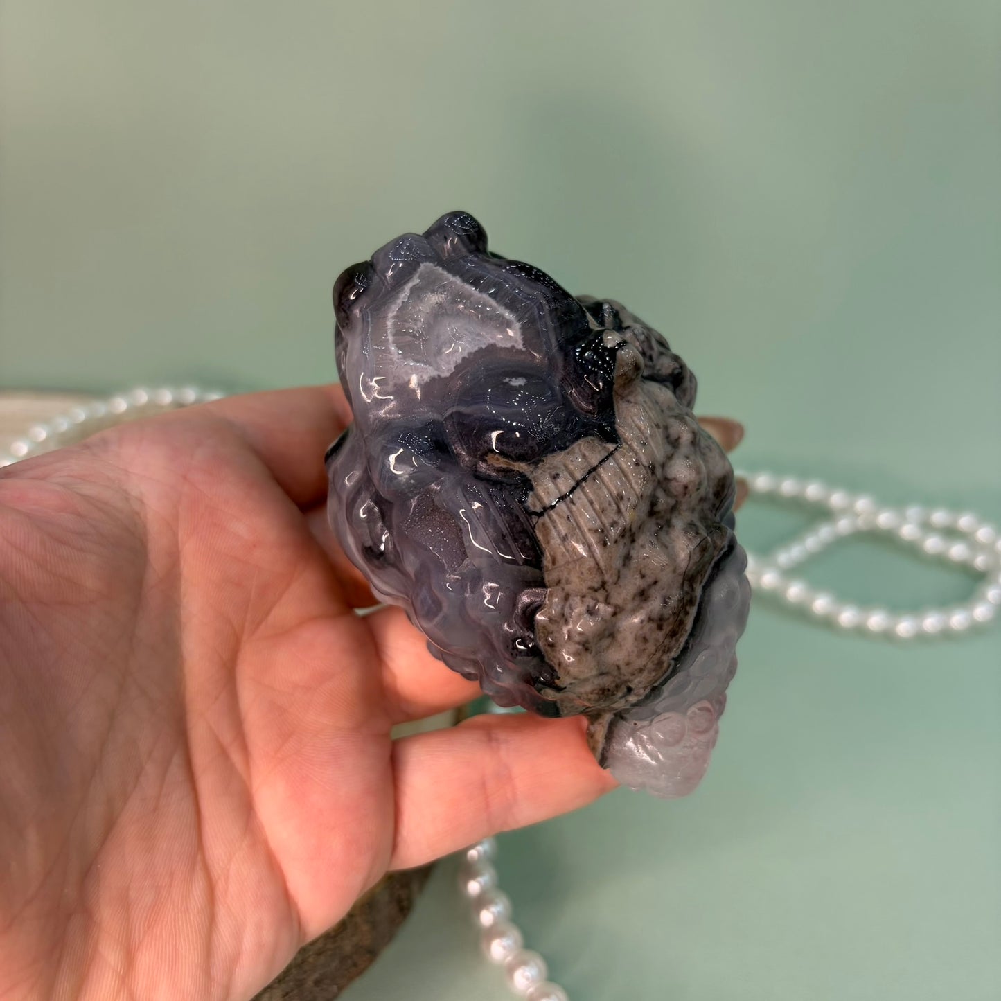 Volcano Agate Money Toad B