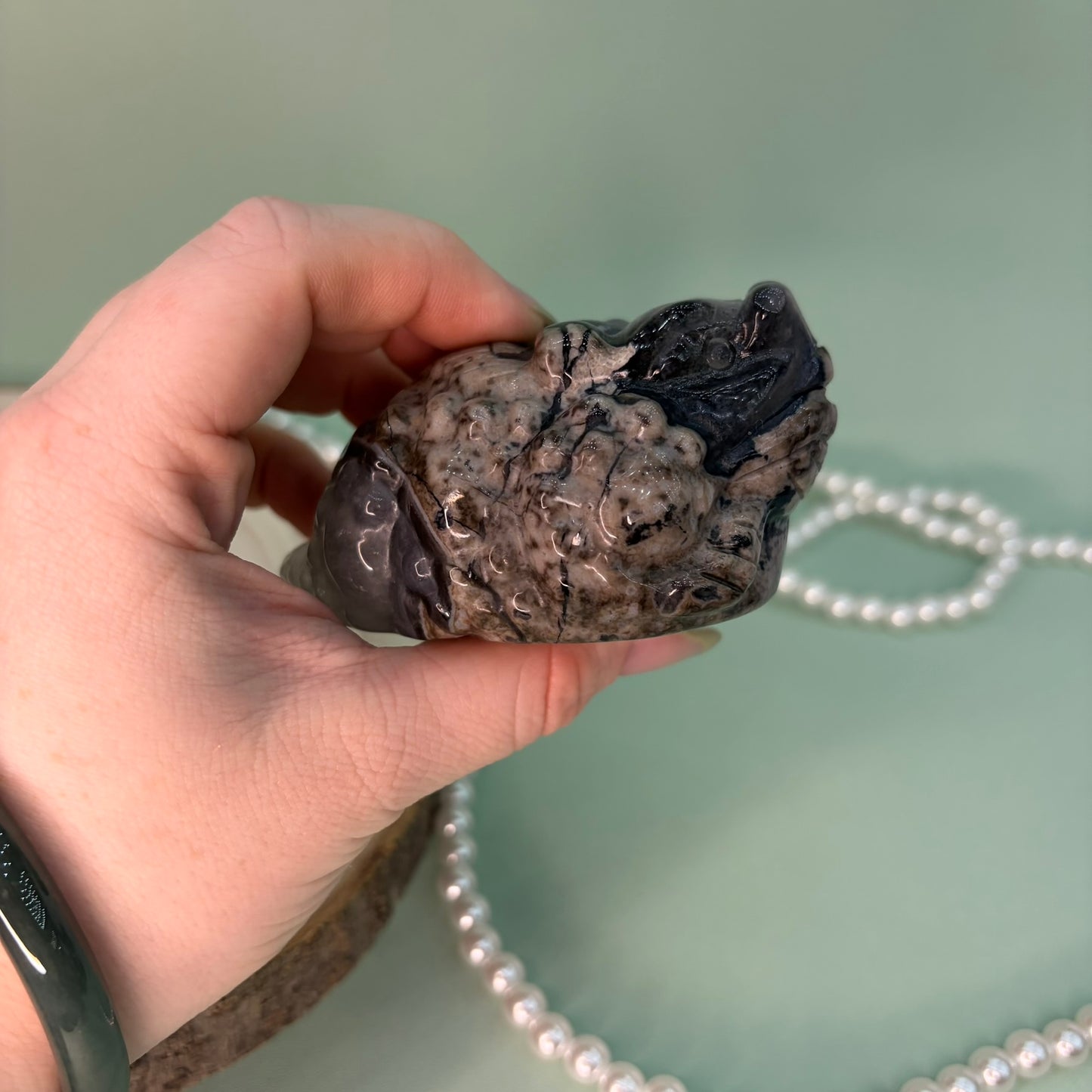 Volcano Agate Money Toad B
