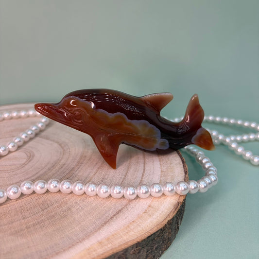Carnelian Dolphin