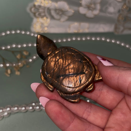 Labradorite Turtle A