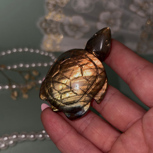 Labradorite Turtle C
