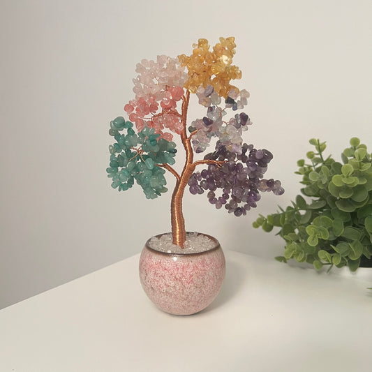 Large Money Tree