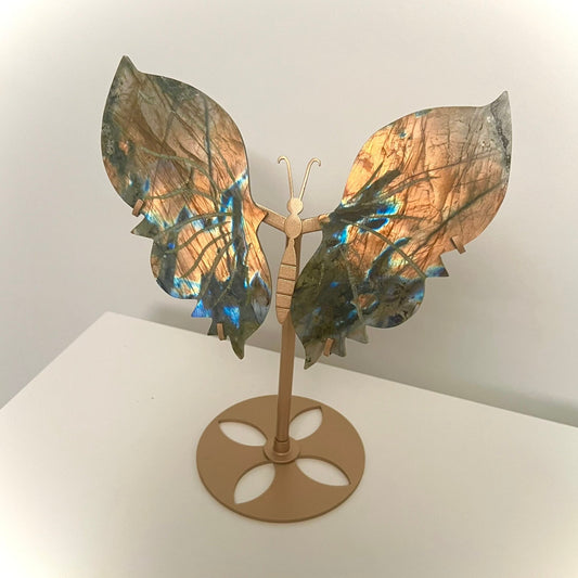 Large Labradorite Butterfly Wings