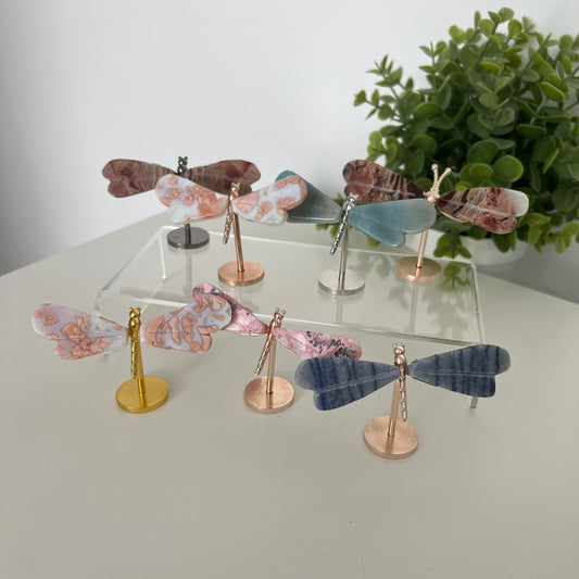 Various Crystal Dragonfly Wings | Small Size Wings
