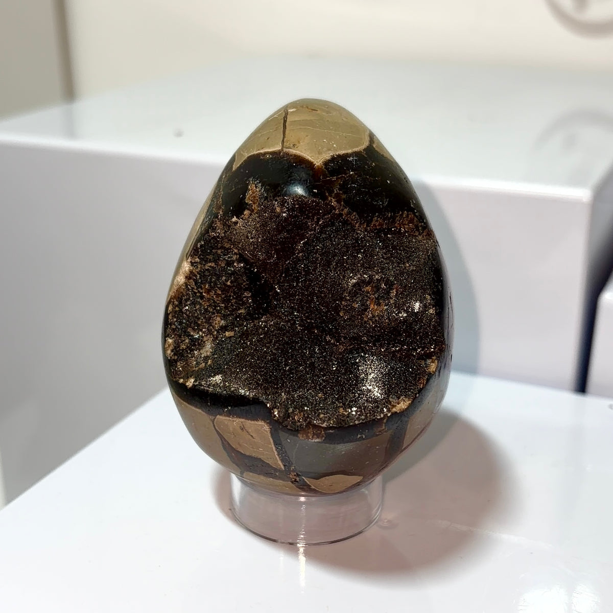 Septarian Egg