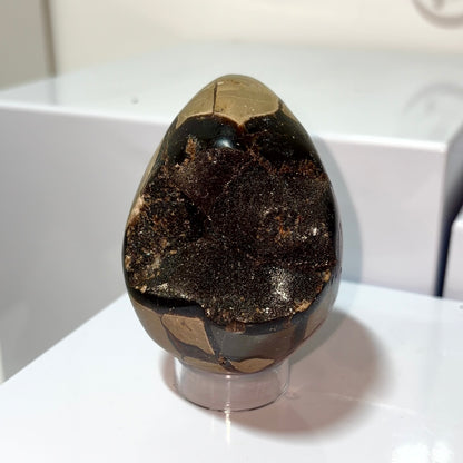 Septarian Egg