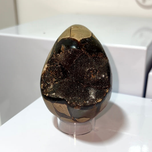 Septarian Egg
