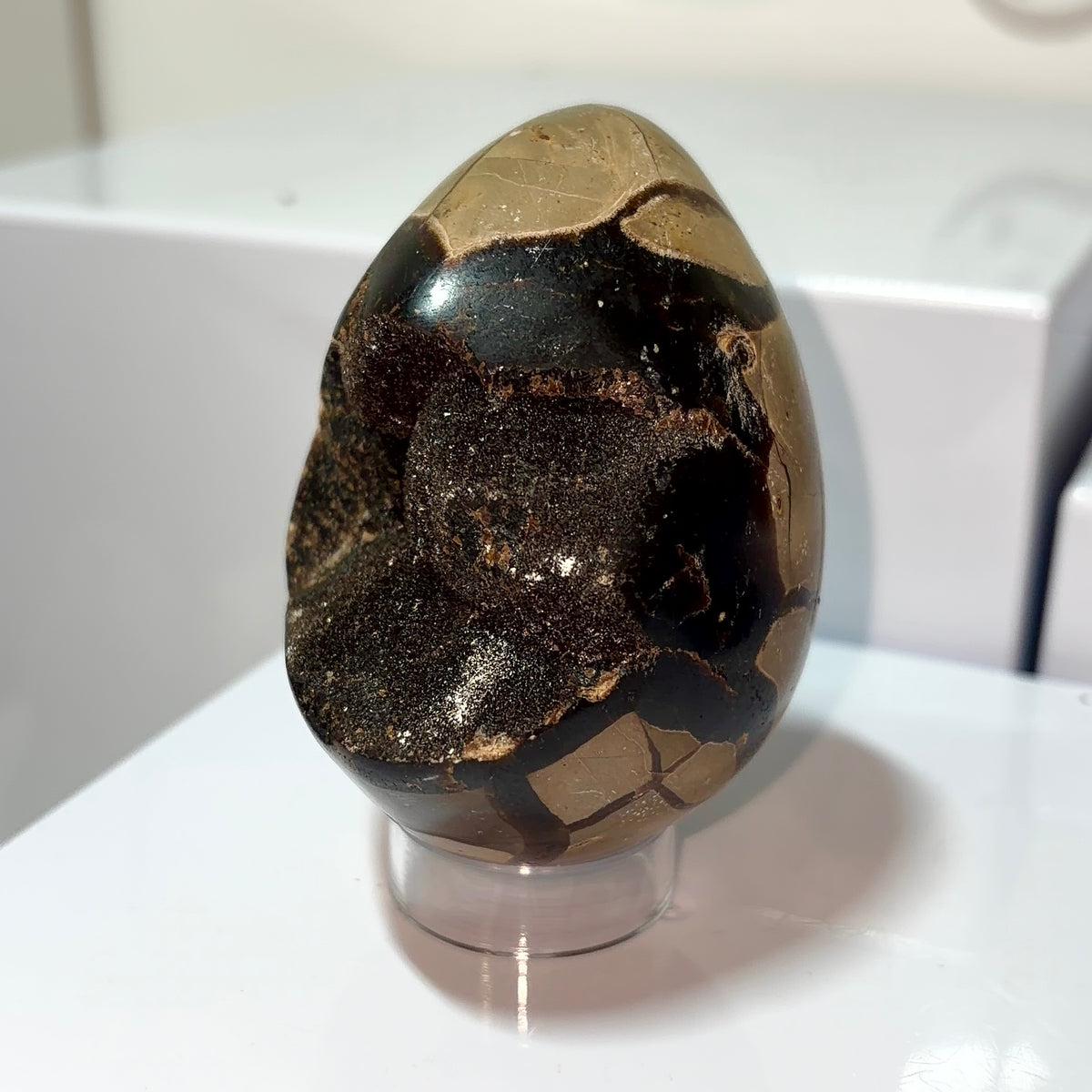 Septarian Egg